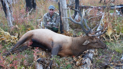 Elk hunt 2